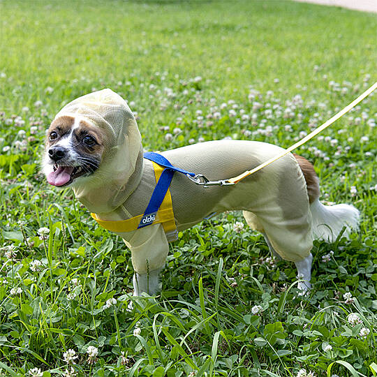 BUG SHIELD MESH SUIT / YELLOW - 9