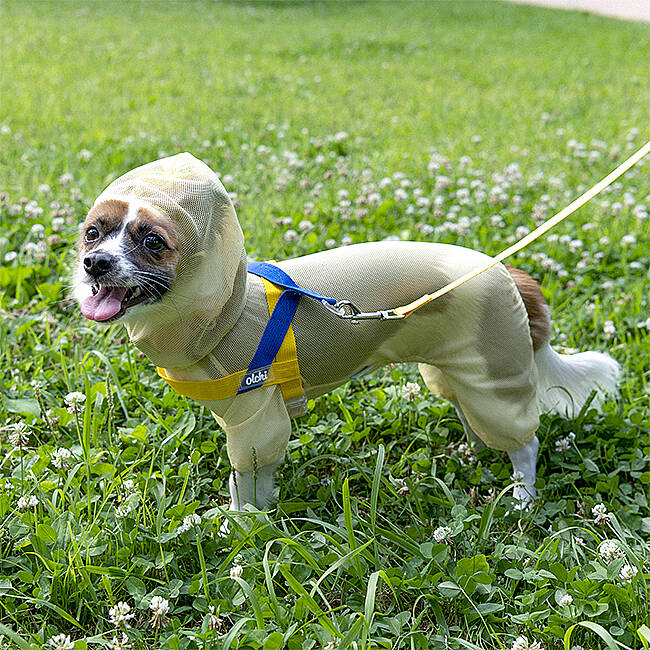 BUG SHIELD MESH SUIT / YELLOW - 9