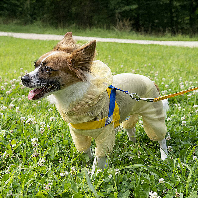 BUG SHIELD MESH SUIT / YELLOW - 8