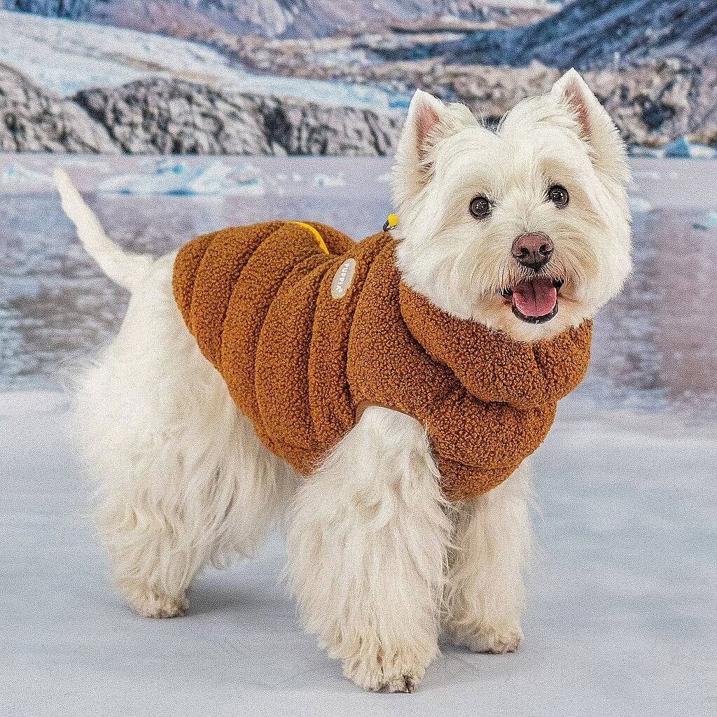 CABIN FLEECE VEST / BROWN - 4