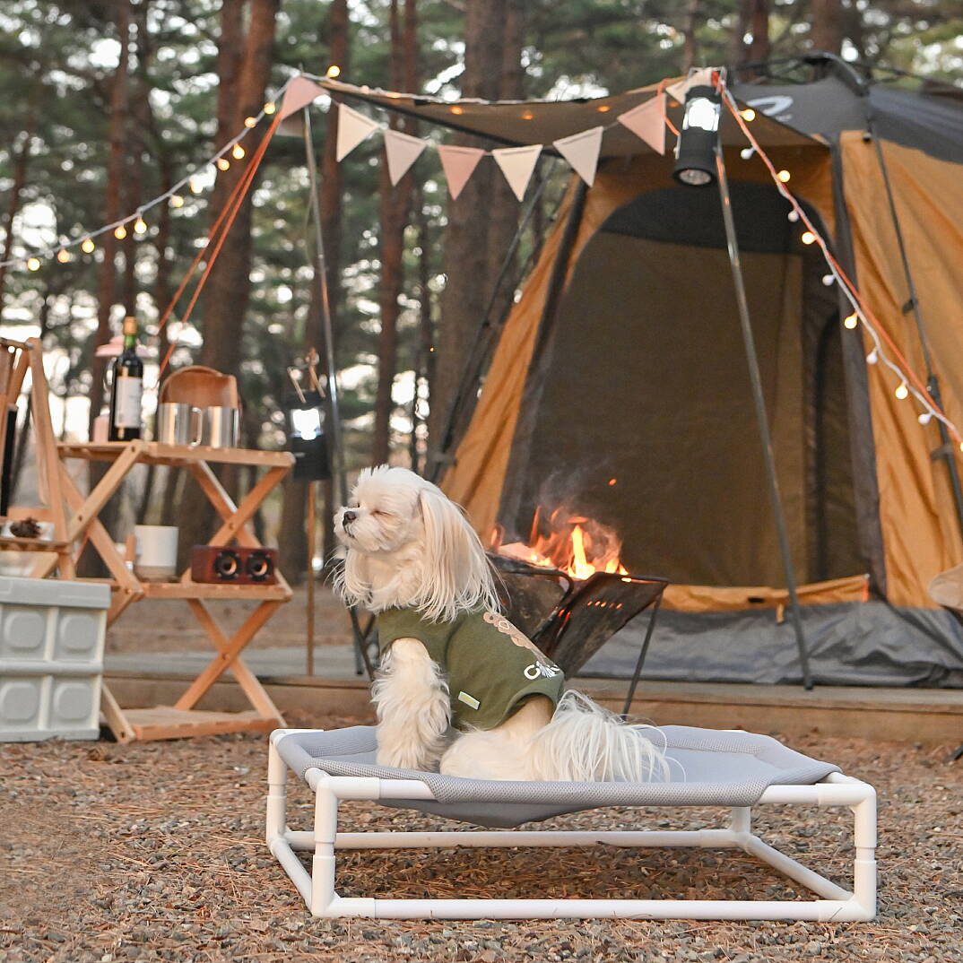 Camping Evcil Hayvan Yatağı - 5