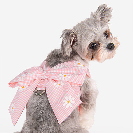 CANDY RIBON / PINK - 3