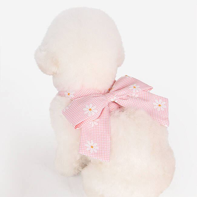 CANDY RIBON / PINK - 4
