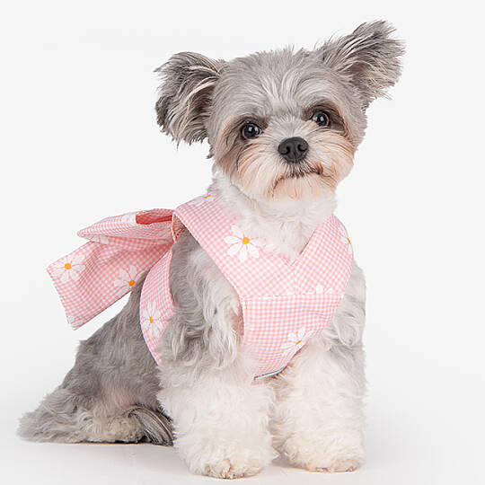 CANDY RIBON / PINK - 5