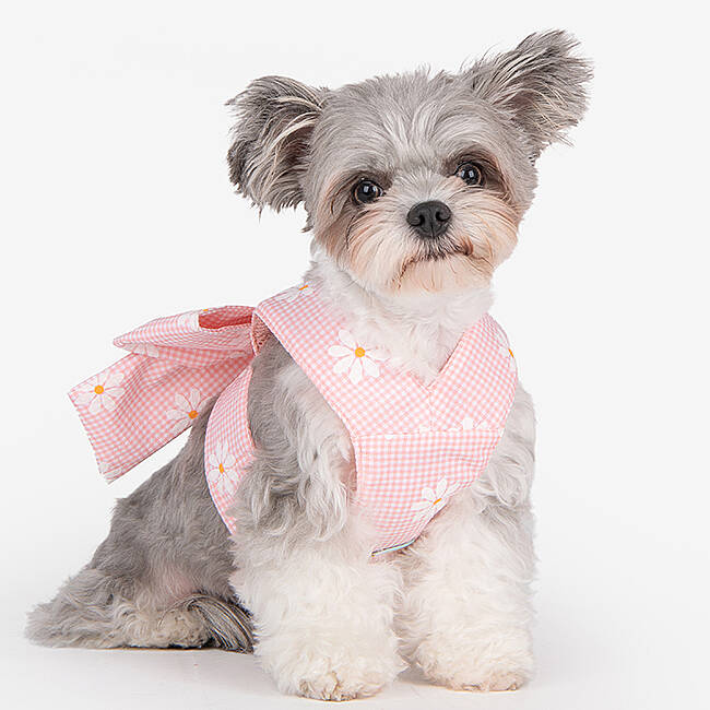 CANDY RIBON / PINK - 5