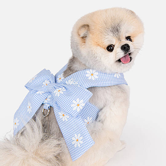 CANDY RIBON / SKY BLUE - 3