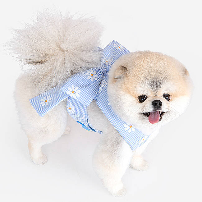 CANDY RIBON / SKY BLUE - 5
