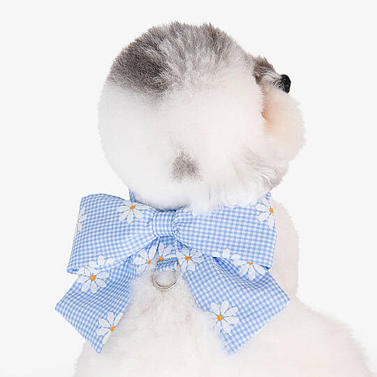 CANDY RIBON / SKY BLUE - 4