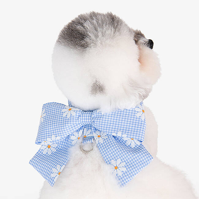 CANDY RIBON / SKY BLUE - 4