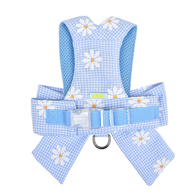 CANDY RIBON / SKY BLUE - 2