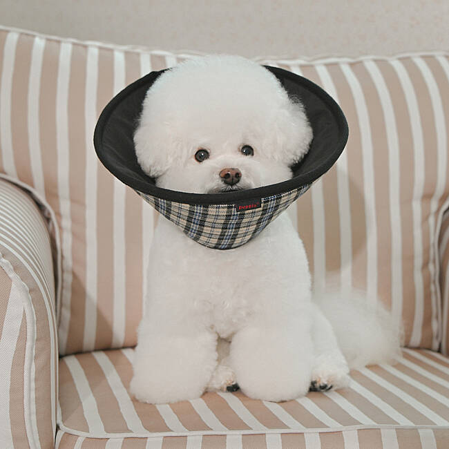 CHARLIE CHECKERED E-COLLAR/BEIGE - 4