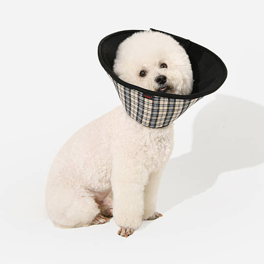 CHARLIE CHECKERED E-COLLAR/BEIGE - 6