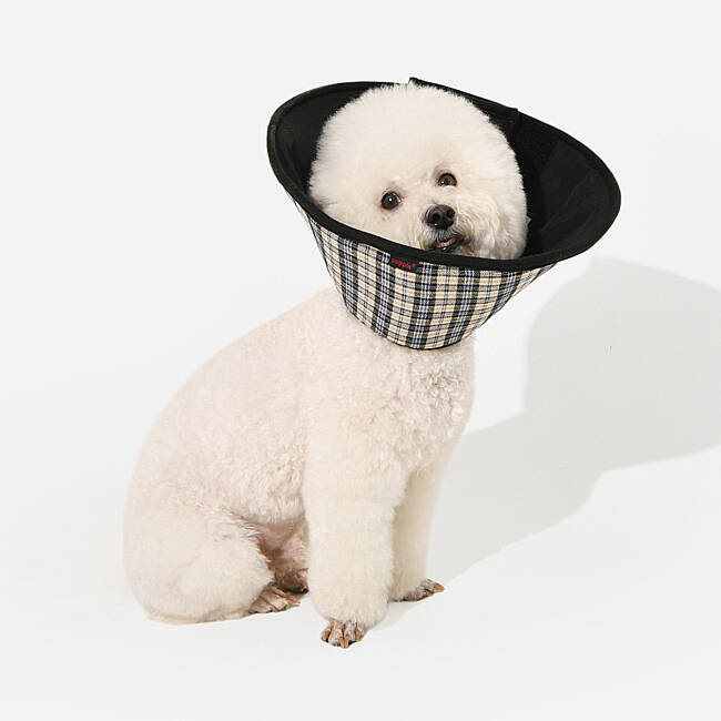 CHARLIE CHECKERED E-COLLAR/BEIGE - 6