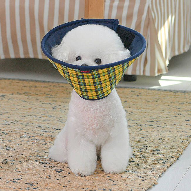 CHARLIE CHECKERED E-COLLAR/YELLOW - 4