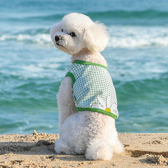 CHECK FLOWER (CROP T-SH)/GREEN - 3