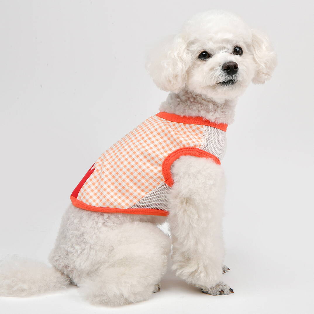 CHECK FLOWER (CROP T-SH)/ORANGE - 3