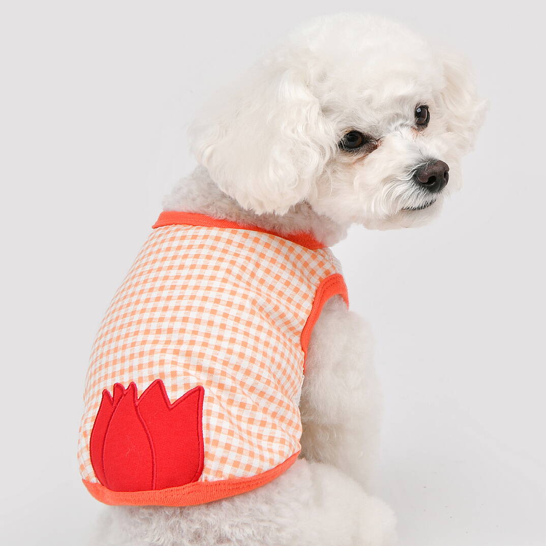 CHECK FLOWER (CROP T-SH)/ORANGE - 4