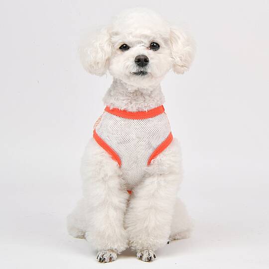 CHECK FLOWER (CROP T-SH)/ORANGE - 5