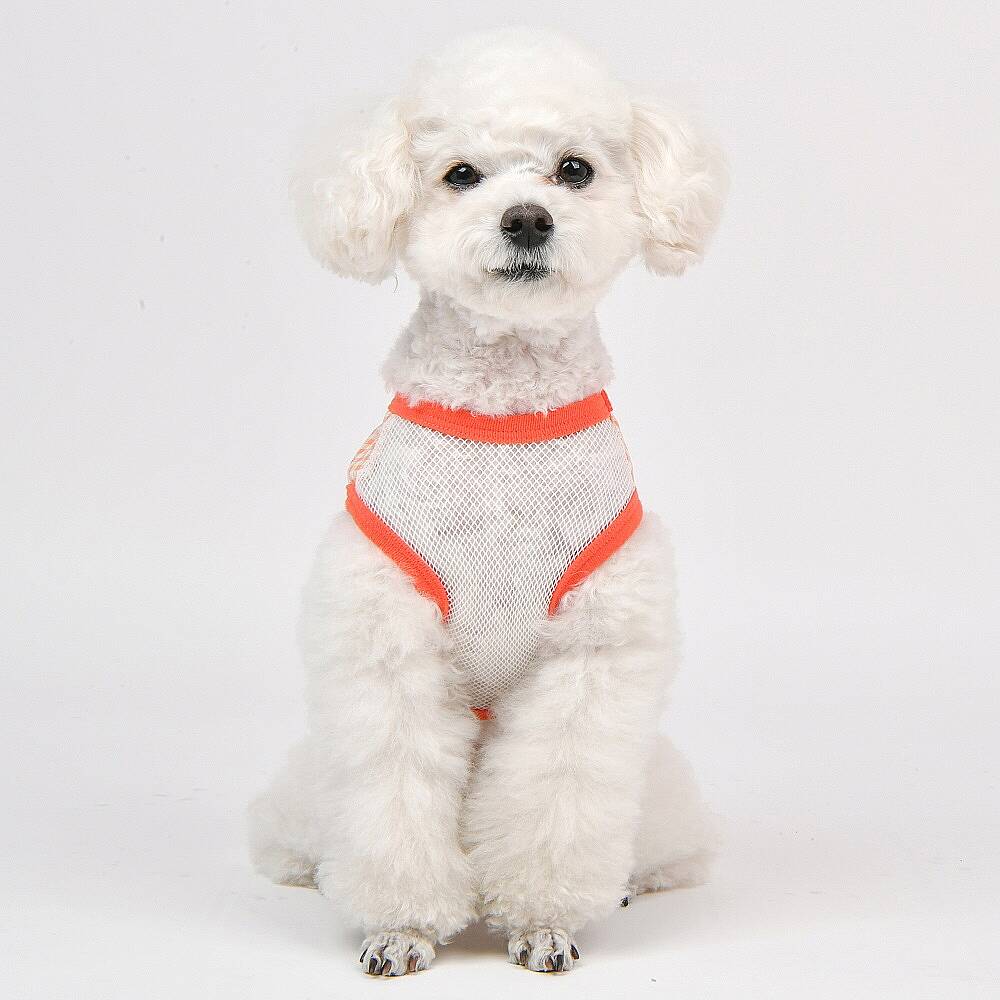 CHECK FLOWER (CROP T-SH)/ORANGE - 5