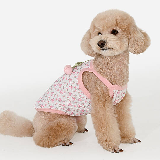 CHERISH / PINK - 5