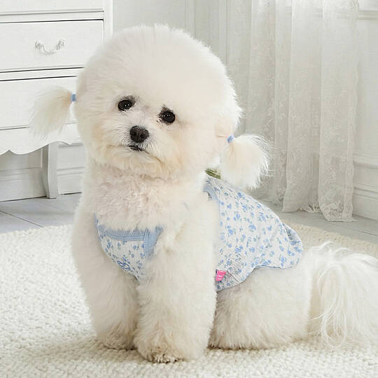 CHERISH / SKY BLUE - 3