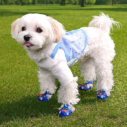 CHERRY RABBIT SHOES / BLUE - 4