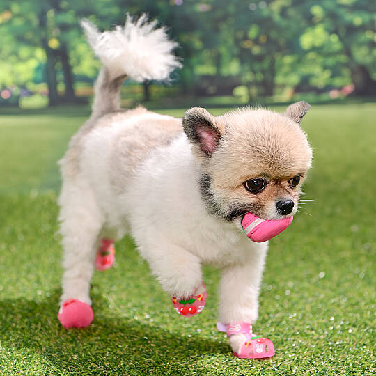 CHERRY RABBIT SHOES / PINK - 4