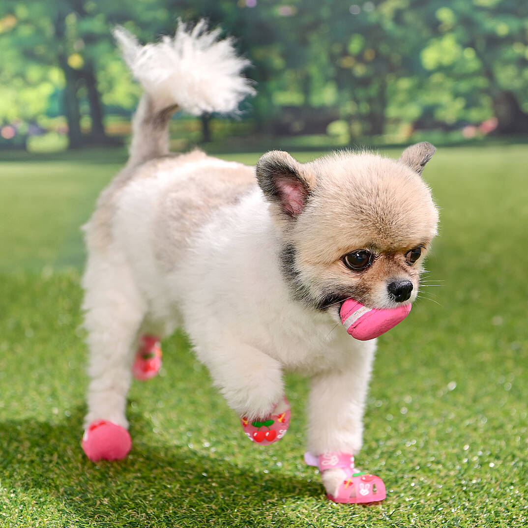 CHERRY RABBIT SHOES / PINK - 4