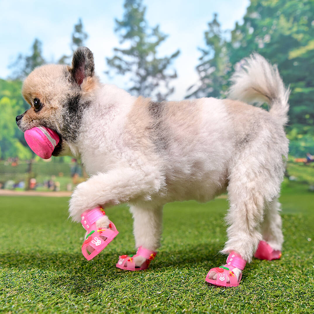 CHERRY RABBIT SHOES / PINK - 5