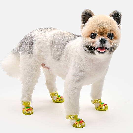 CHERRY RABBIT SHOES / YELLOW - 4