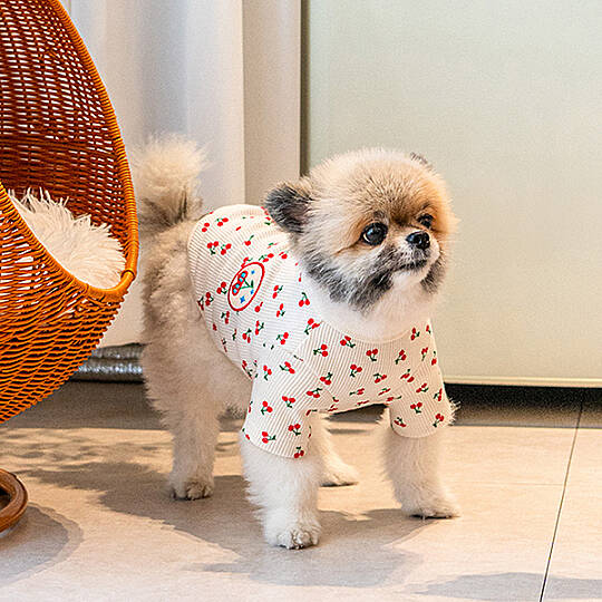 Cherry T-Shirt Köpek Kıyafeti - 3