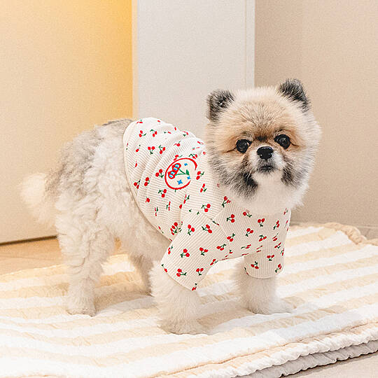 Cherry T-Shirt Köpek Kıyafeti - 4