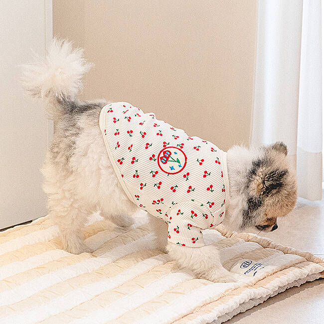 Cherry T-Shirt Köpek Kıyafeti - 5