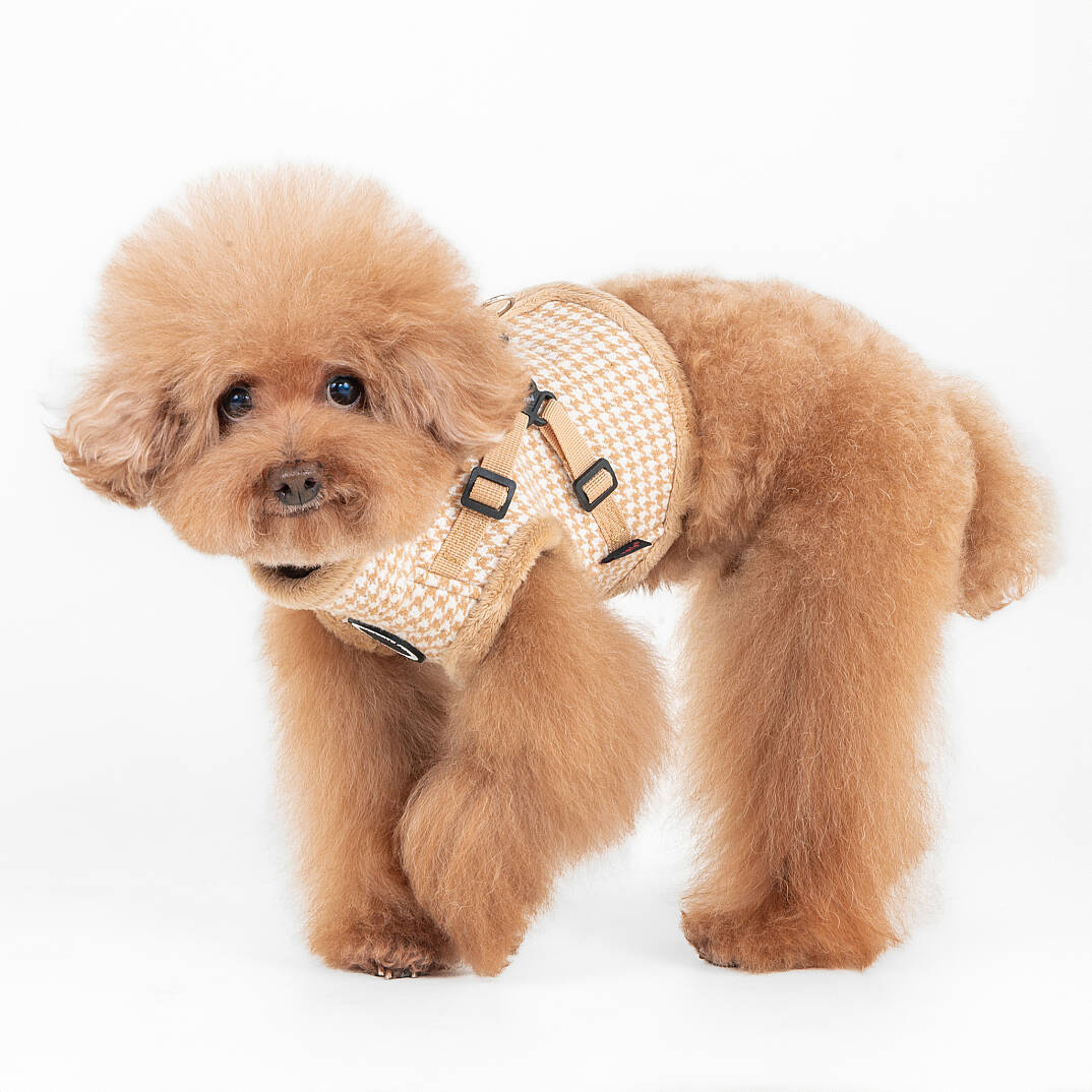 CHIC HOUND HARNESS V PAZD-HV2270-BE - 5