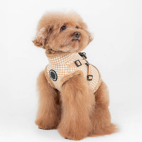 CHIC HOUND HARNESS V PAZD-HV2270-BE - 6