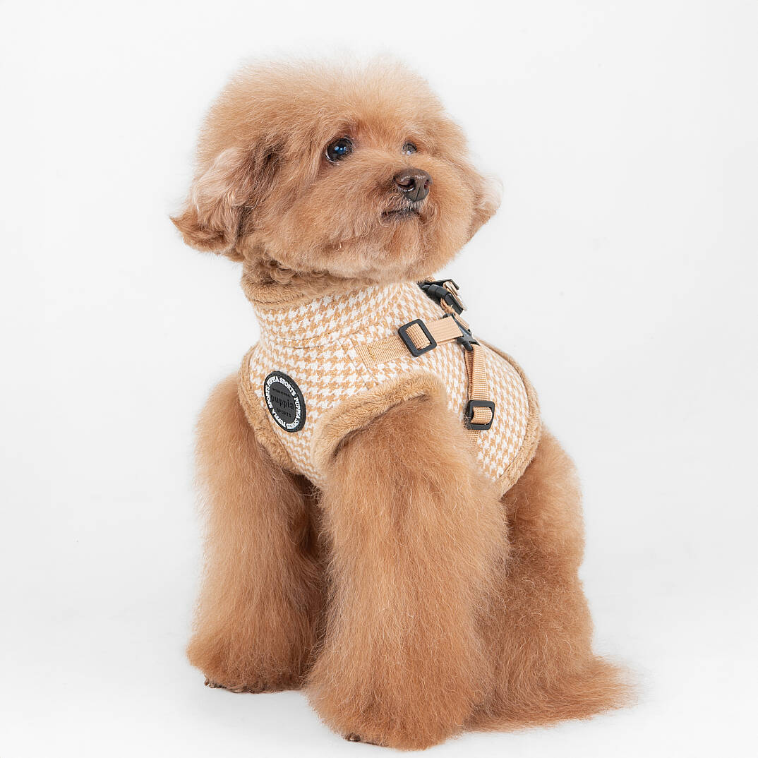 CHIC HOUND HARNESS V PAZD-HV2270-BE - 6