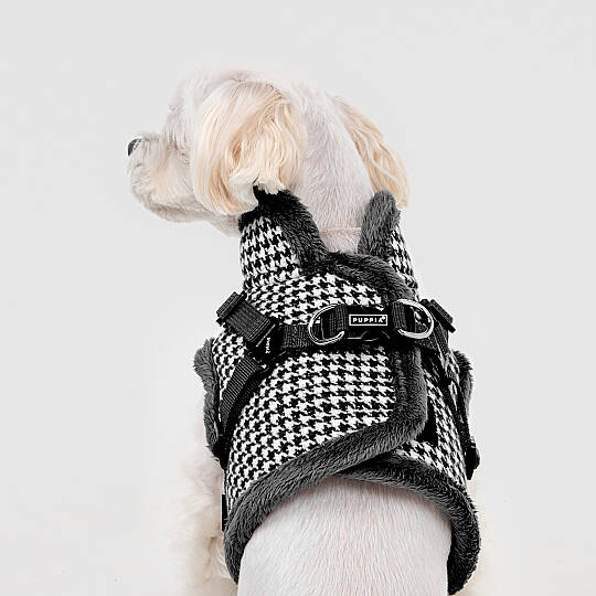 CHIC HOUND HARNESS V PAZD-HV2270-BK - 5