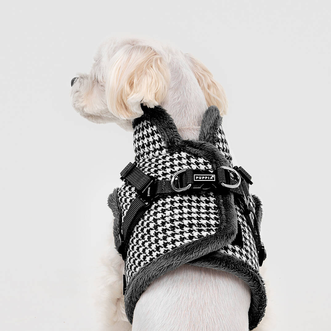 CHIC HOUND HARNESS V PAZD-HV2270-BK - 5