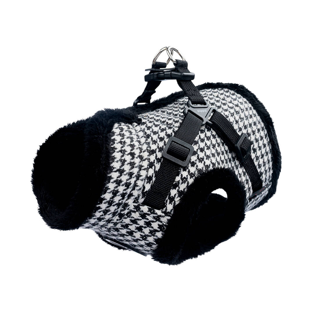 CHIC HOUND HARNESS V PAZD-HV2270-BK - 3