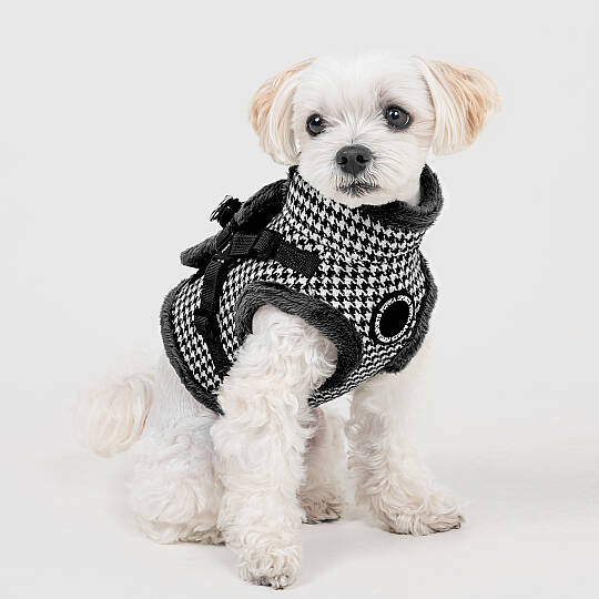 CHIC HOUND HARNESS V PAZD-HV2270-BK - 7