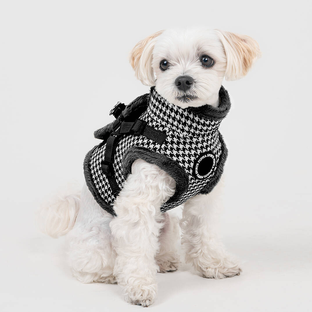 CHIC HOUND HARNESS V PAZD-HV2270-BK - 7