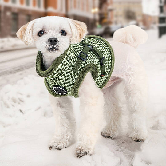 CHIC HOUND HARNESS V PAZD-HV2270-KH - 5