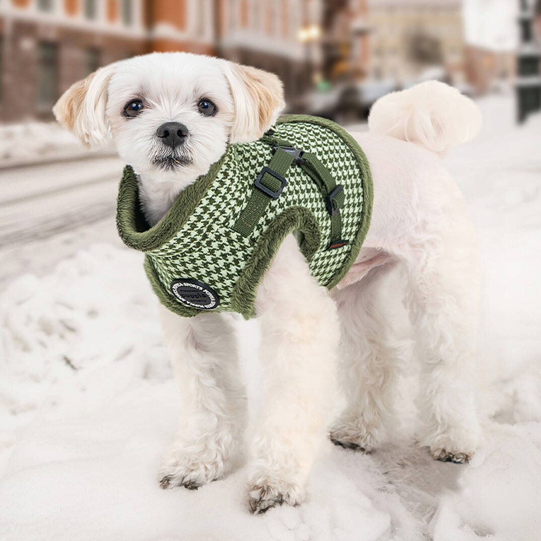 CHIC HOUND HARNESS V PAZD-HV2270-KH - 5
