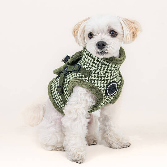 CHIC HOUND HARNESS V PAZD-HV2270-KH - 6