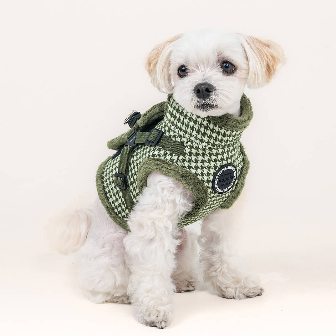 CHIC HOUND HARNESS V PAZD-HV2270-KH - 6