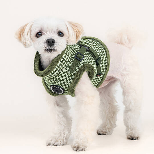 CHIC HOUND HARNESS V PAZD-HV2270-KH - 8