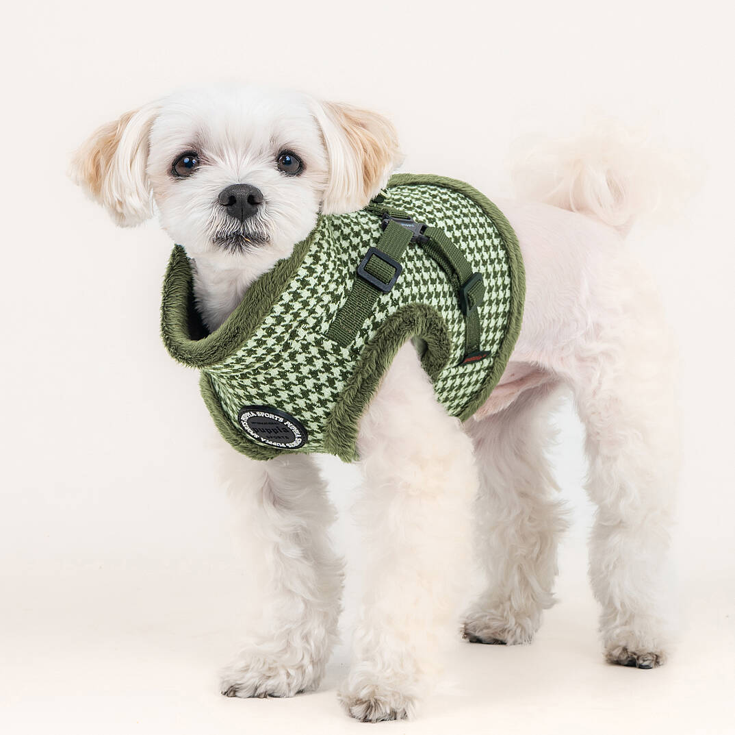CHIC HOUND HARNESS V PAZD-HV2270-KH - 8