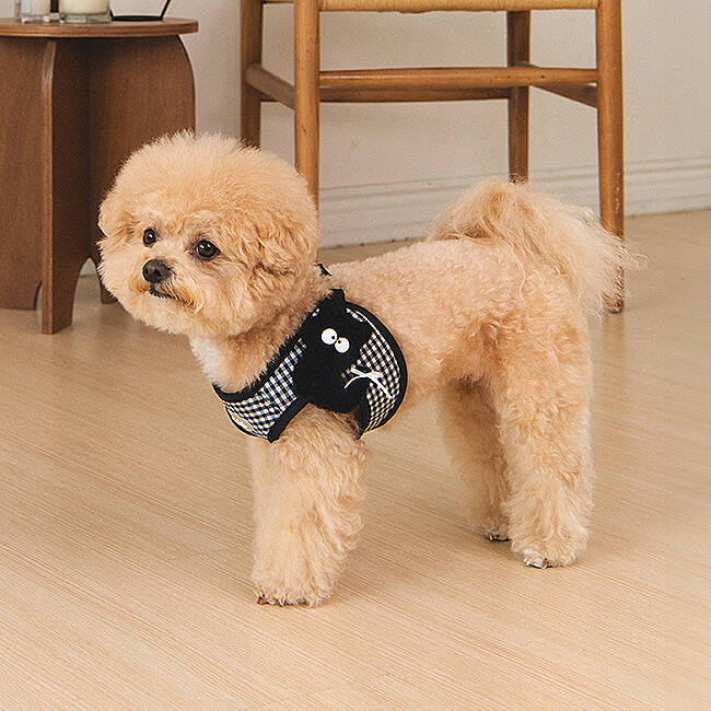 CLİCK & CLİP CHARM HARNESS/BLACK - 4