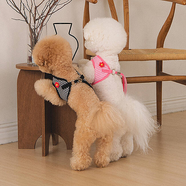 CLİCK & CLİP CHARM HARNESS/BLACK - 8