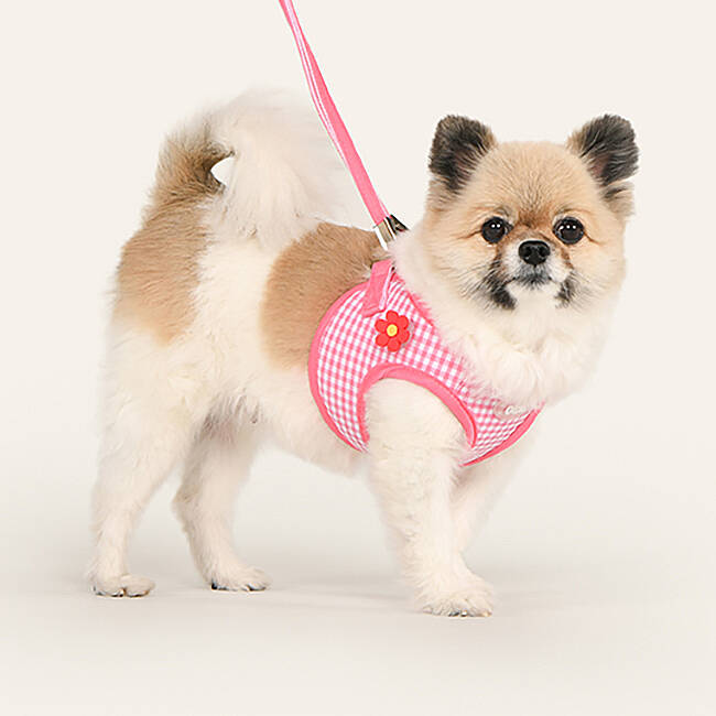 CLİCK & CLİP CHARM HARNESS/PINK - 4